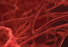 Tulyp Medical emerges from stealth with perfusion tech Tulyp Medical emerges from stealth with perfusion tech