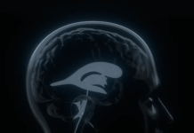 Medivis wins FDA clearance for AR cranial navigation platform Medivis wins FDA clearance for AR cranial navigation platform