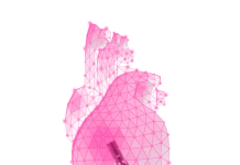 FineHeart secures €83М to support its growth FineHeart secures €83М to support its growth