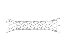 Starlight Cardiovascular reports first baby treated with Lifeline system Starlight Cardiovascular reports first baby treated with Lifeline system