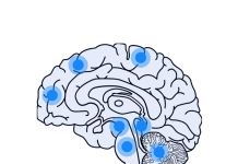 neuroClues closes €10M Series A, bringing total funding to €25M neuroClues closes €10M Series A, bringing total funding to €25M